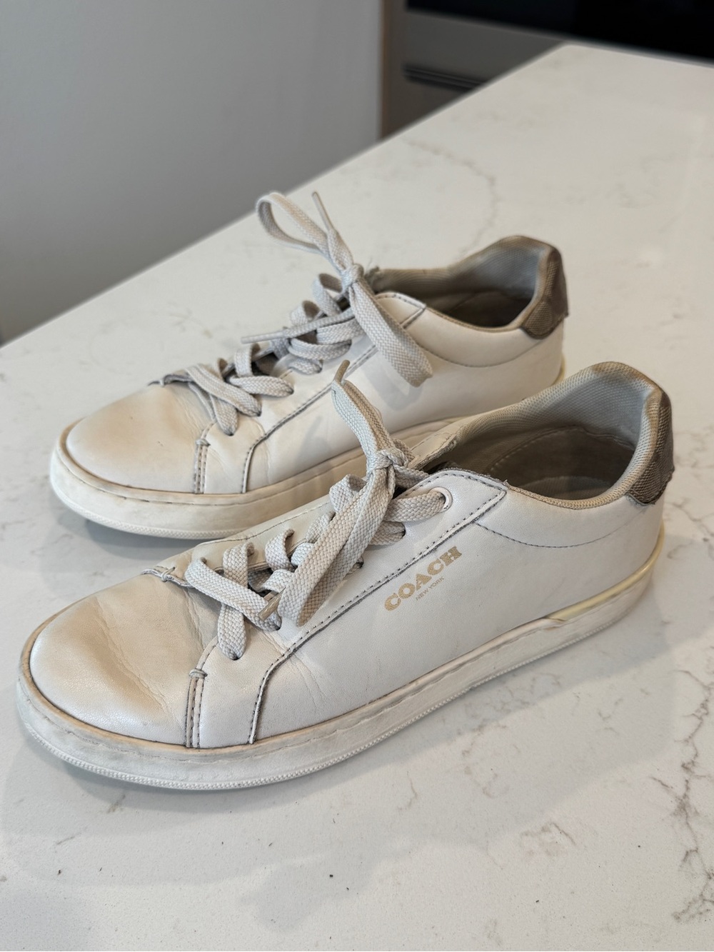 Coach Clip Low Top Sneakers